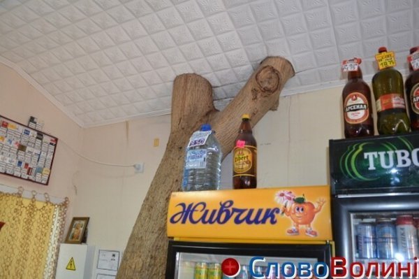 У Луцьку є «магазин-дерево». ФОТО